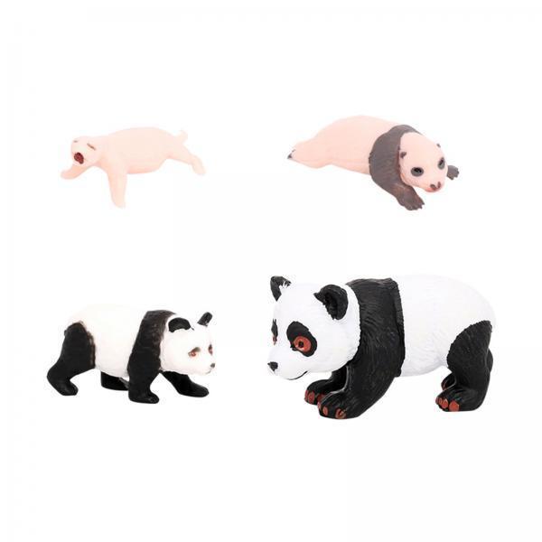 Modèle du cycle de vie des ani - Kids Toys Cycle avis et prix
